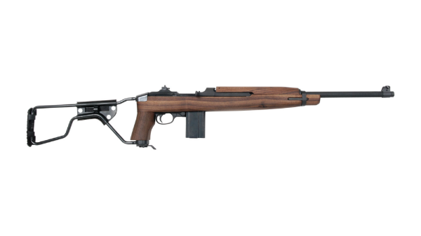 Picture for category Semi-Auto Rimfire Rifles