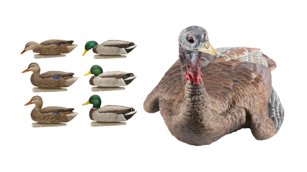 Picture for category Decoys