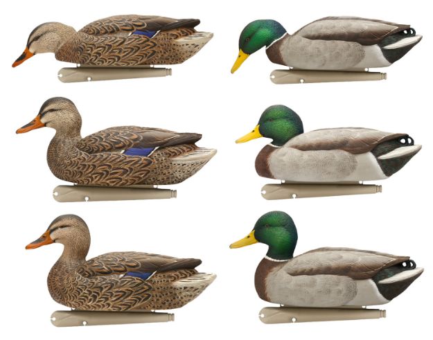 Picture of Avian X AVXAVX8076 Topflight Fusion Mallards Multi-Color -6 Pack