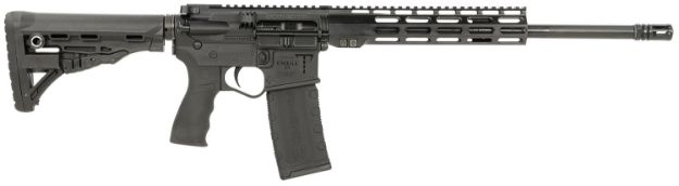 Picture of ET Arms Inc ETAGOMEGA556ML10 Omega-15  5.56x45mm NATO 30+1 16" Barrel w/A2 Flash Hider, Black Polymer Receiver, 10" M-LOK Handguard, M4 Stock, A2 Grip