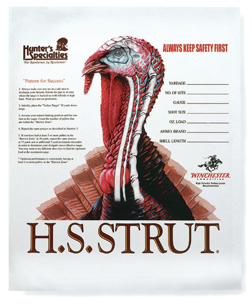 Picture of HS Strut 06850 Turkey  Paper Hanging Shotgun 11" x 11" Multi-Color 12 PK