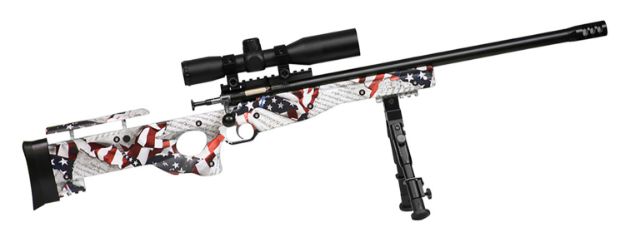 Picture of Crickett KSA2153 Precision Complete Package 22 LR 1rd 16.12" Blued American Flag & Amendment Fixed Thumbhole Stock Right Hand (Youth)