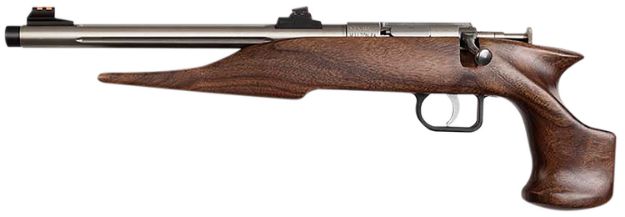 Picture of Chipmunk 40101 Hunter  Youth Frame 22 S/L/LR Single Shot 9" Threaded Stainless Steel Barrel, Walnut Frame, EZ Loader