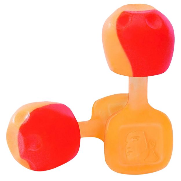 Picture of Howard Leight R02236 TrustFit Pod Earplugs Foam 28 dB In The Ear Orange Adult 5 Pair