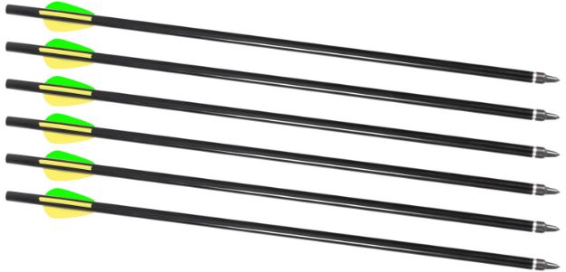 Picture of Traditions A2217 Firebolt 2216 Arrow  For Crackshot XBR 16" Aluminum 6 Pack