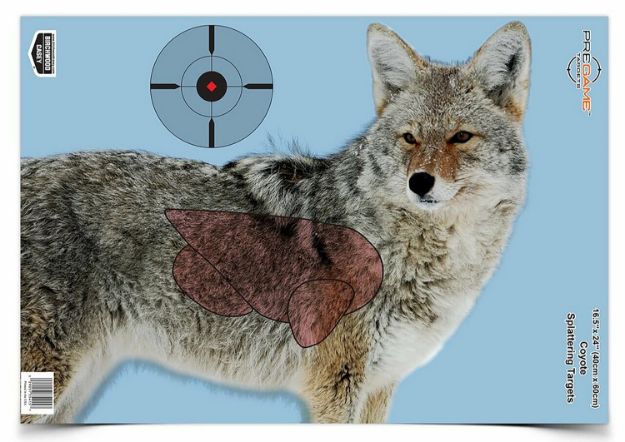 Picture of Birchwood Casey 35405 Pregame  Coyote Paper Hanging Rifle 16.50" x 24" Impact Enhancement Yes 3 Per Pkg