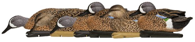 Picture of Avian X AVXAVX8080 Topflight  Blue-Winged Floating Teal Decoys Multi-Colored-6 Pack