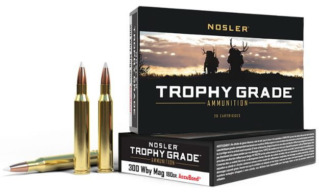 Picture of Nosler 48643 Trophy Grade  300WthbyMag 180gr Nosler AccuBond 20 Per Box/10 Case