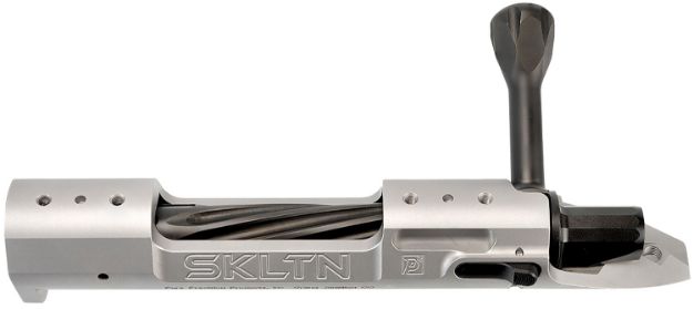 Picture of P2 IN-00285 SKLTN LA LH STANDARD TI