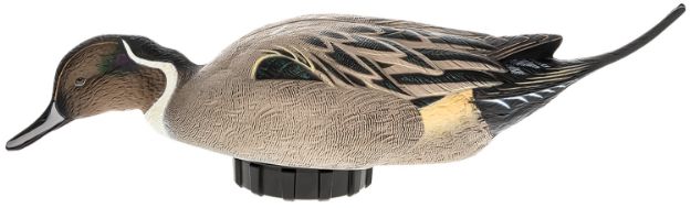 Picture of Avian X AVXPSHPNSF Power Shaker  Pintail Surface Feeder Duck Decoy Multi-Color