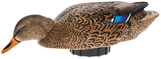 Picture of Avian X AVXPSHMHSF Power Shaker  Mallard Hen Surface Feeder Multi-Color