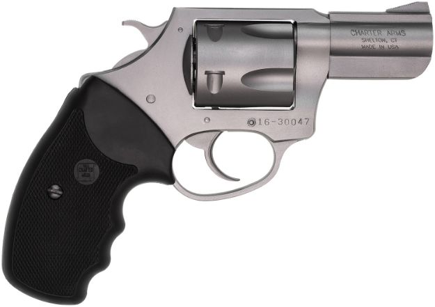 Picture of Charter Arms 74020 Pitbull  Large 40 S&W 5 Shot 2.30" Matte Stainless Steel Barrel, Cylinder & Frame w/Black Finger Grooved Rubber Grip