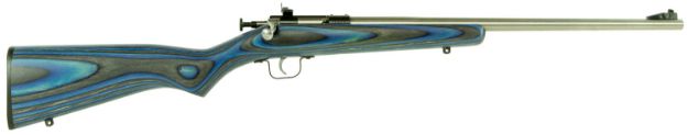 Picture of Crickett KSA2223 Youth  22 LR 1rd 16.12" Stainless Steel Barrel, Fixed Front/Adjustable Rear Peep Sights, Blue Laminate Stock w/11.5" LOP, Rebounding Firing Pin Safety