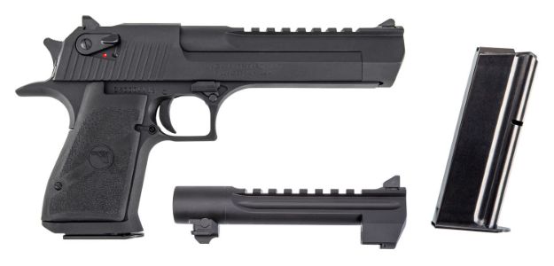 Picture of Magnum Research DE50429 Desert Eagle Mark XIX 50 AE/429 DE 6" 7+1 Black Polymer Grip