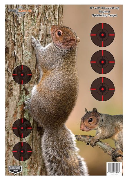 Picture of Birchwood Casey 35406 Pregame  Squirrel Paper Hanging Rifle 12" x 18" Impact Enhancement 8 Per Pkg