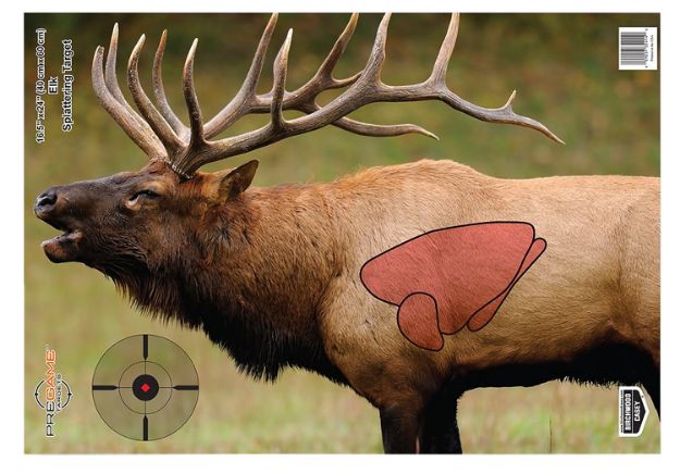 Picture of Birchwood Casey 35404 Pregame  Elk Paper Target 16.50" x 24" 3 Per Pkg