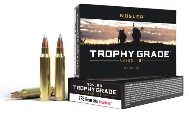 Picture of Nosler 61036 Match Grade  223Rem 70gr Soft Point 20 Per Box/20 Case