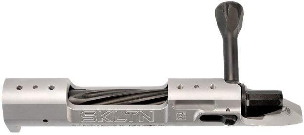 Picture of P2 IN-00283 SKLTN SKLTN LA RH STANDARD TI