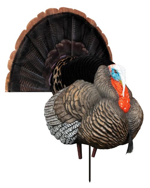 Picture of Higdon Outdoors 63148 Hard Body Apex Strutter Flocked Back, XHD Hyper Feathering & Iridescence, Apex Stake System For Movement In The Wind, Includes Magnetic Ring Fan-Lock Attachment