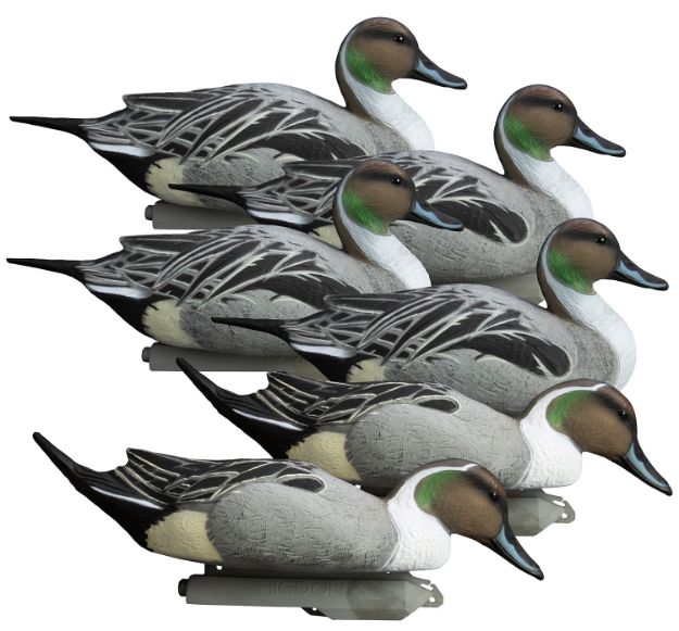 Picture of Higdon Outdoors 16544 Battleship Pintail Pintail Species Multi Color Foam Filled 6 Pack