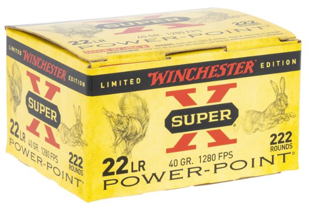 Picture of Winchester Ammo X22LRPPB Super X  22LR 40gr Plated Hollow Point 222 Per Box/10 Case