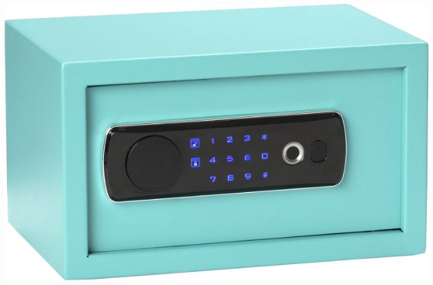 Picture of Bulldog BD5012 Duo  Digital Keypad/Biometric/Key Entry Teal Powder Coated Steel Holds 1 Handgun LED Keypad