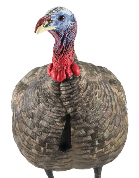 Picture of Avian X AVXAVX8003 LCD Quarter-Strut Jake Turkey Species Multi Color Dura-Rubber