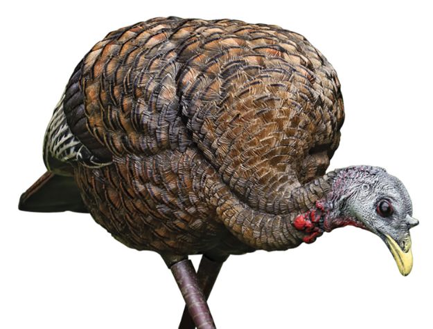 Picture of Avian X AVXAVX8007 LCD Feeder Hen Turkey Species Multi Color Dura-Rubber