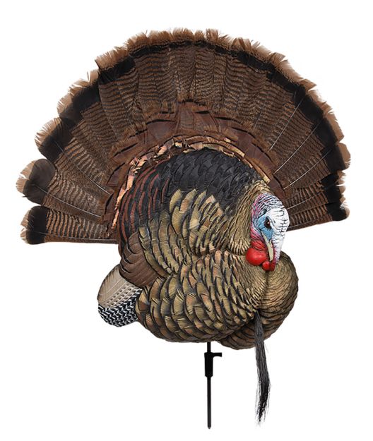 Picture of Avian X AVXAVX8021 Trophy Tom  Turkey Species Multi-Color *No Fan