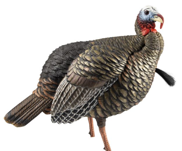 Picture of Avian X AVXAVX8105 HDR Jake Turkey Decoy Multi Color