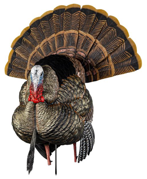 Picture of Avian X AVXAVX8108 HDR Strutter Turkey Species Multi Color