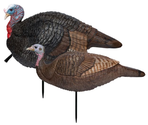 Picture of Primos 69075 Lil' Gobblestopper Jake & Hen Combo Turkey Species Multi Color