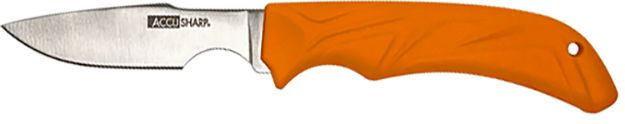 Picture of AccuSharp 731C Caping  Fixed Caping 3.50" Stainless Steel Blade/Blaze Orange Ergonomic Anti-Slip Handle