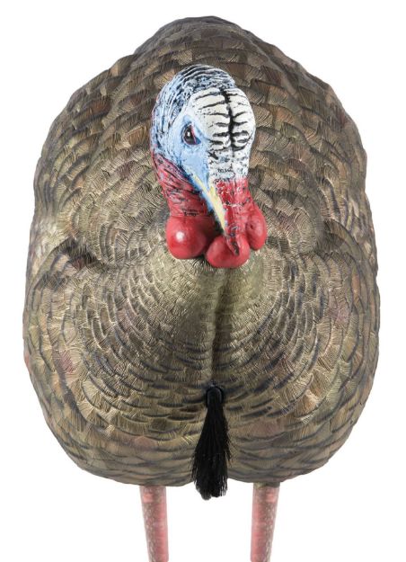 Picture of Avian X AVXAVX8012 LCD Half-Strut Jake Turkey Species Multi Color Dura-Rubber