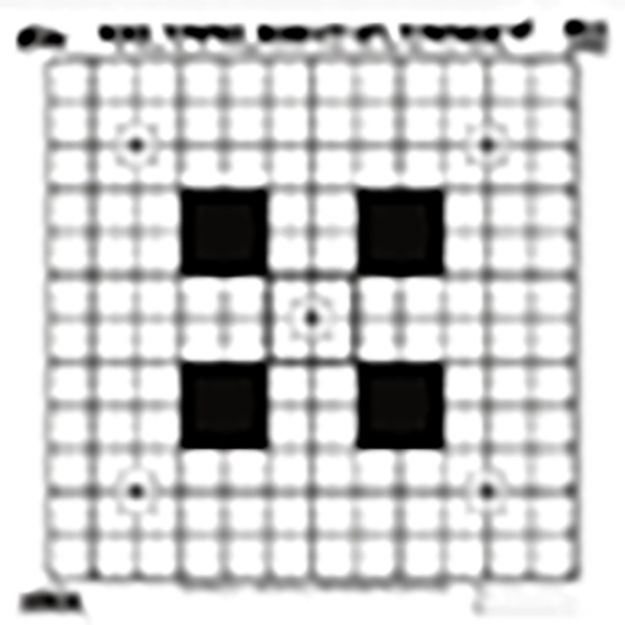 Picture of Pro-Shot SSIT12PK  Sight-In Hanging Heavy Paper 100yds 14" x 14" Black/White 12 Pack