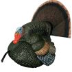 Picture of Primos 69076 Lil' Gobblestopper Strutter Box Call Turkey Sounds