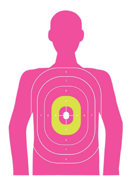 Picture of EZ-Aim 15646 In the Pink  Paper Works w/Handgun/Shotgun/Airsoft Gun/BB Guns/Pellet Gun 12 x 18 Pink 8 Pack