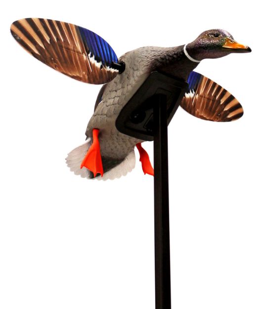 Picture of Mojo Outdoors HW24703P Elite Series Mini Mallard Drake Species Multi Color Plastic