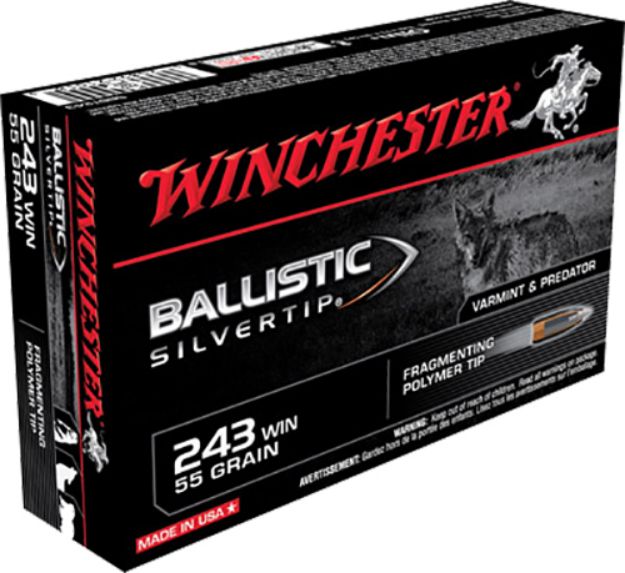 Picture of Winchester Ammo SBST243 Ballistic Silvertip  243Win 55gr Fragmenting Polymer Tip 20 Per Box/10 Case