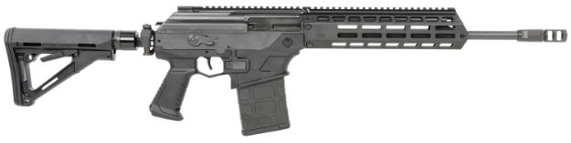 Picture of IWI US GAR55 Galil Ace Gen2 7.62x51mm NATO Caliber with 16" Barrel, 30+1 Capacity, Black Metal Finish, Black Side Folding Stock & Black Polymer Grip Right Hand