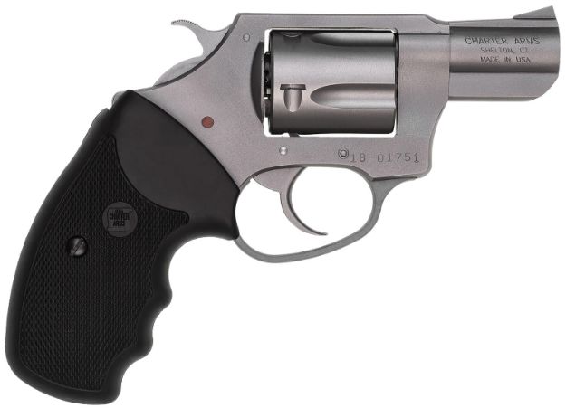 Picture of Charter Arms 73820 Undercover  Small 38 Special, 5 Shot 2" Matte Stainless Steel Barrel & Cylinder, Aluminum Frame w/Black Finger Grooved Rubber Grip, Exposed Hammer