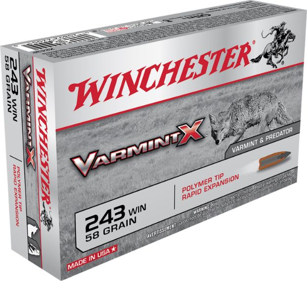 Picture of Winchester Ammo X243P Varmint X  243Win 58gr Polymer Tip Rapid Expansion 20 Per Box/10 Case