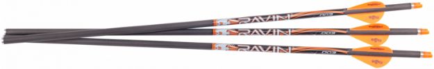 Picture of Ravin Crossbows R133 Match Weight Lighted Arrows 400GR .003" 3 Pack