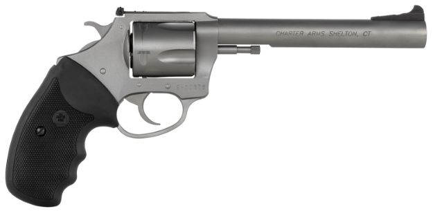 Picture of Charter Arms 74460 Bulldog Target Large 44 Special, 5 Shot 6" Matte Stainless Steel Barrel, Cylinder & Frame w/Black Finger Grooved Rubber Grip