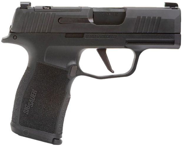 Picture of SIG 365X9BXR3PMS10 P365 9MM XS MS 3.1 10R BLK