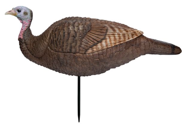 Picture of PRIM 69073 LIL GOBSTOPPER HEN