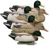 Picture of HIGDON 16034 BATTLESHIP MALLARD FOAM FILL FLK 6PK
