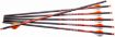 Picture of RAVIN R138 ARROWS 400GR. 6 PK .003