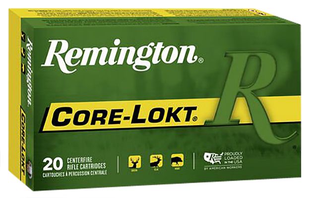 Picture of REM 27830 R30067 3006 220 SPCL 20/10