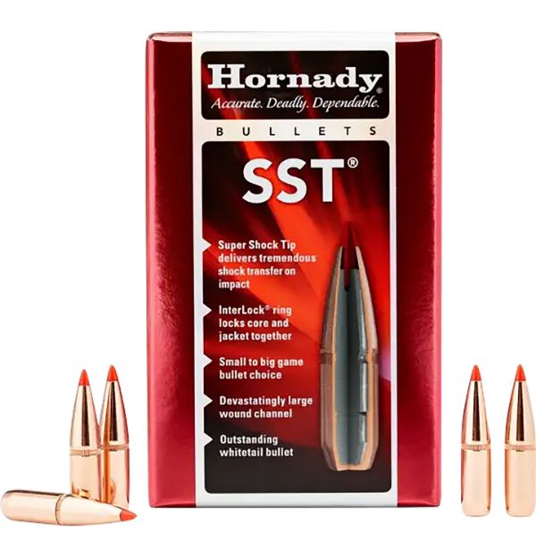 Picture of HORN 26173 BULL .264 123 SST 100/25